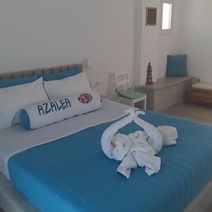 Chambre Premium Lit King-Size